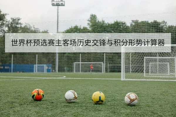 世界杯预选赛主客场历史交锋与积分形势计算器